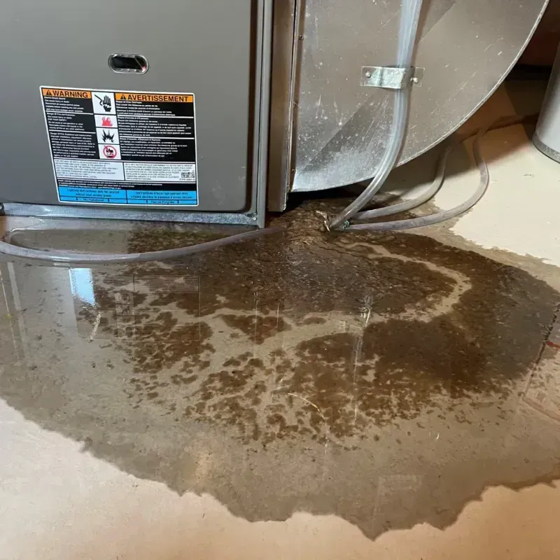 Appliance Leak Cleanup in Amherst, OH